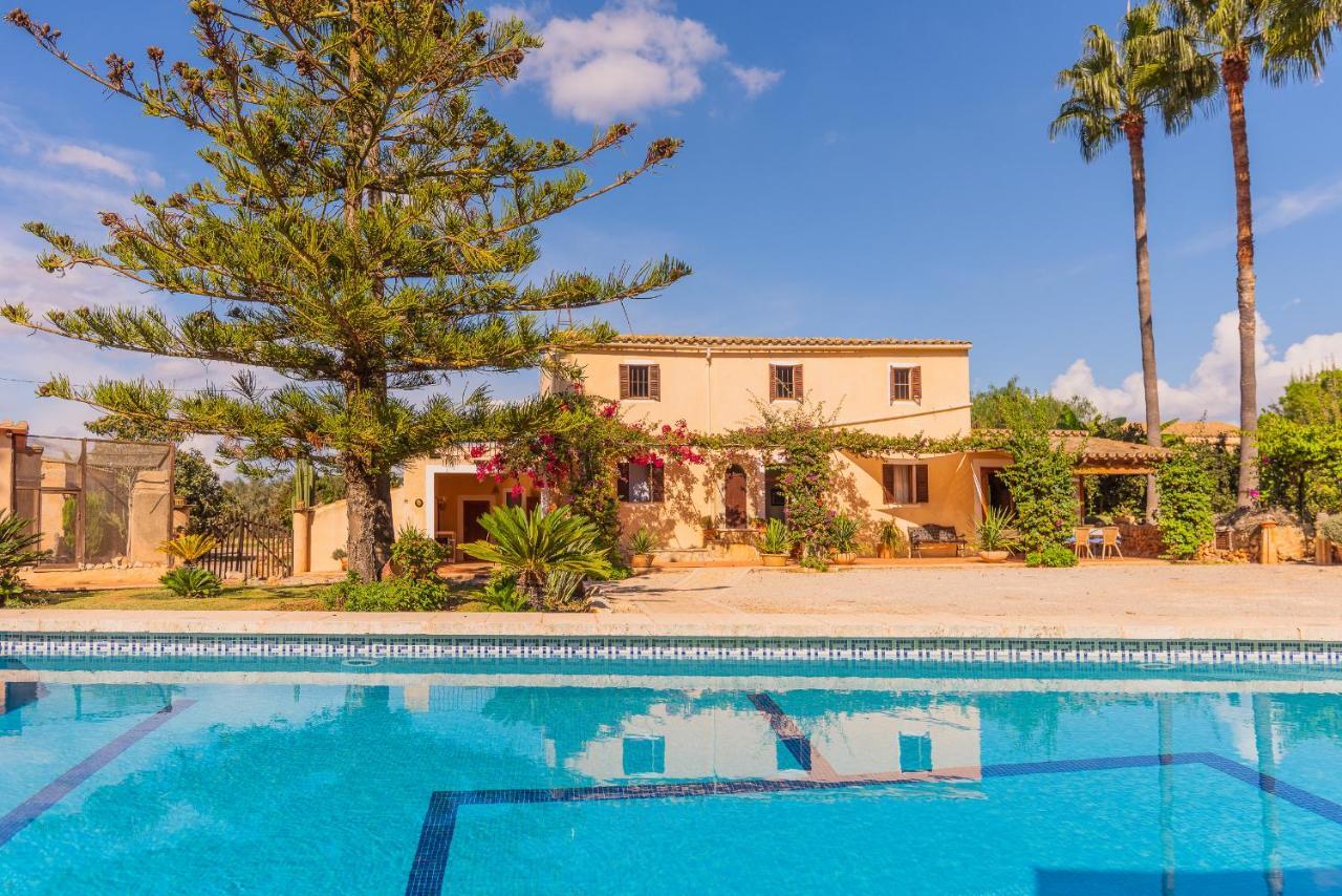 Sitjoles Holiday home Campos (Mallorca)